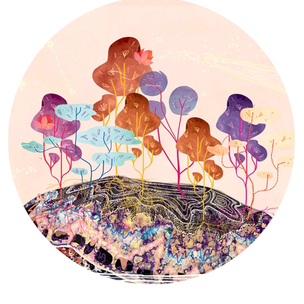 Meet your Posher, Noe